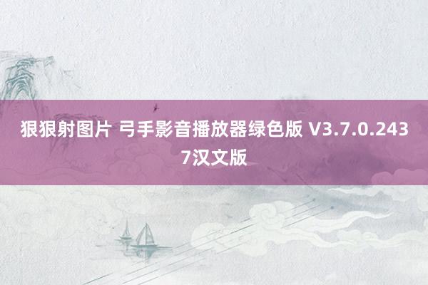 狠狠射图片 弓手影音播放器绿色版 V3.7.0.2437汉文版