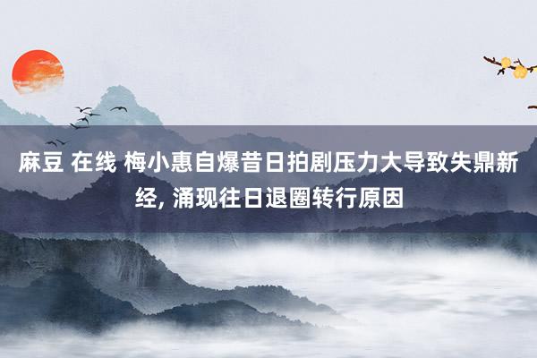 麻豆 在线 梅小惠自爆昔日拍剧压力大导致失鼎新经, 涌现往日退圈转行原因